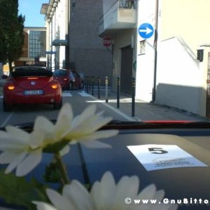 19-09-2010 - ESTremamente GNU! 2010