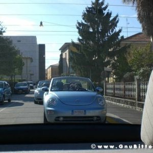 19-09-2010 - ESTremamente GNU! 2010