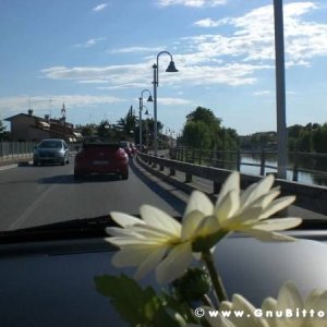 19-09-2010 - ESTremamente GNU! 2010