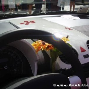 19-09-2010 - ESTremamente GNU! 2010