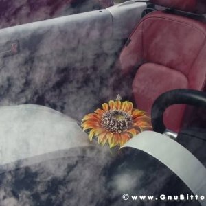 19-09-2010 - ESTremamente GNU! 2010