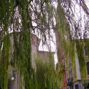 19-09-2010 - ESTremamente GNU! 2010