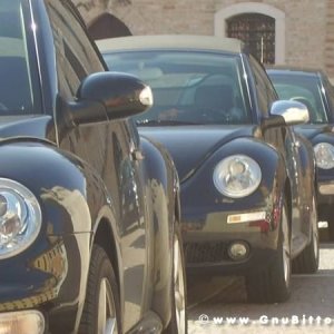 19-09-2010 - ESTremamente GNU! 2010