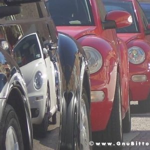 19-09-2010 - ESTremamente GNU! 2010