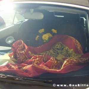 19-09-2010 - ESTremamente GNU! 2010