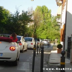 19-09-2010 - ESTremamente GNU! 2010