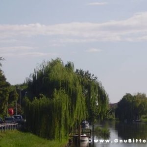 19-09-2010 - ESTremamente GNU! 2010