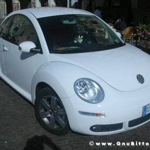 19-09-2010 - ESTremamente GNU! 2010