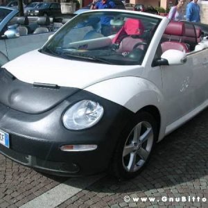 19-09-2010 - ESTremamente GNU! 2010