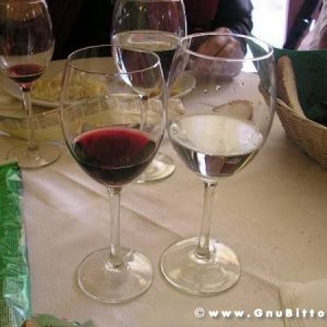 19-09-2010 - ESTremamente GNU! 2010