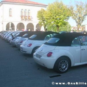 19-09-2010 - ESTremamente GNU! 2010