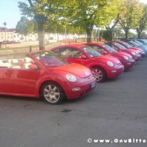 19-09-2010 - ESTremamente GNU! 2010