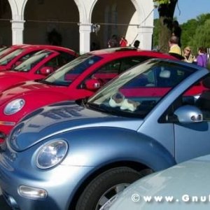 19-09-2010 - ESTremamente GNU! 2010