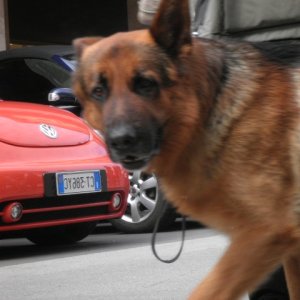 25'esimo meeting in toscana alta 6-7 APRILE 2013