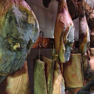 XXV raduno...TOSCANA!!