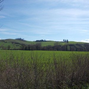 xxv meeting alta toscana