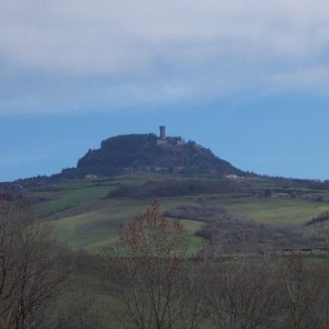 xxv meeting alta toscana