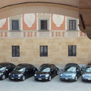 xxv meeting alta toscana