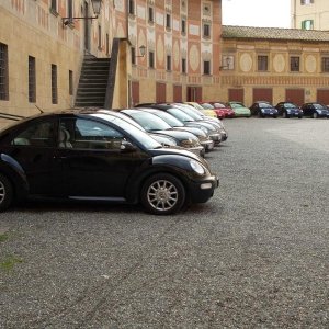 xxv meeting alta toscana