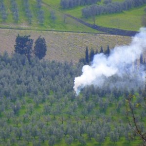 XXV raduno- Toscana 2013