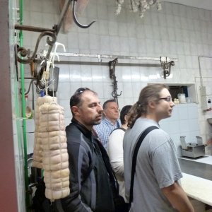 XXV raduno- Toscana 2013