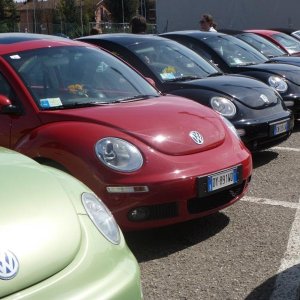 XXV raduno- Toscana 2013