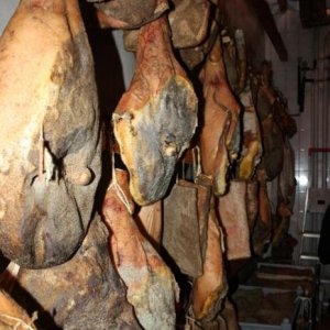 XXV raduno nazionale 6-7 aprile 2013 San Miniato e Montecatini Terme