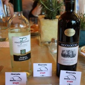 XXV raduno nazionale 6-7 aprile 2013 San Miniato e Montecatini Terme