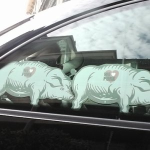 XXV raduno nazionale 6-7 aprile 2013 San Miniato e Montecatini Terme