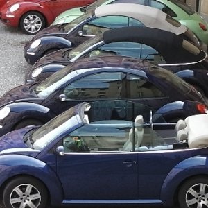 XXV raduno nazionale 6-7 aprile 2013 San Miniato e Montecatini Terme