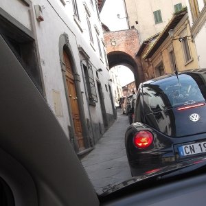 XXV Raduno Nazionale