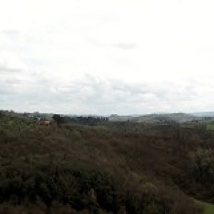 XXV Raduno Nazionale