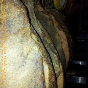 6 e 7 aprile - Raduno di Primavera 2013