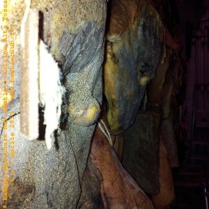 6 e 7 aprile - Raduno di Primavera 2013