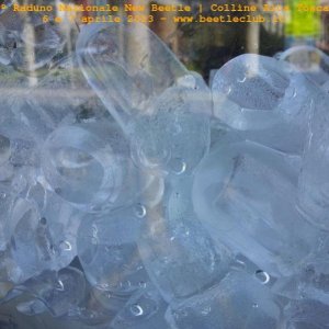 6 e 7 aprile - Raduno di Primavera 2013