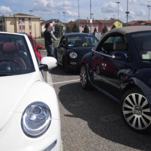 raduno di primavera 2013 primo album