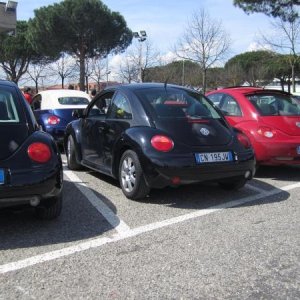 raduno di primavera 2013 primo album