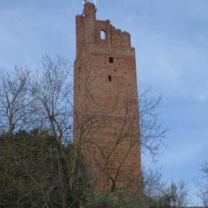 raduno di primavera 2013 primo album