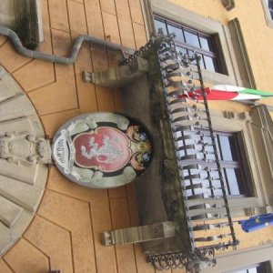 raduno di primavera 2013 primo album