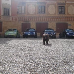 raduno di primavera 2013 primo album