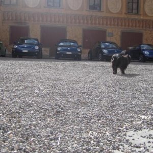 raduno di primavera 2013 primo album