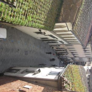 raduno di primavera 2013 primo album