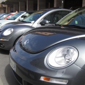 raduno di primavera 2013 secondo album