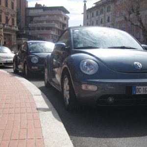 raduno di primavera 2013 secondo album