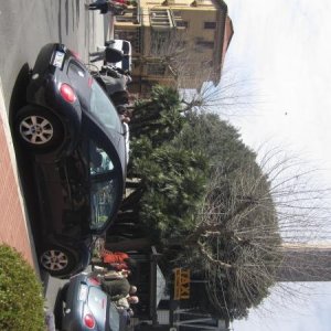 raduno di primavera 2013 secondo album