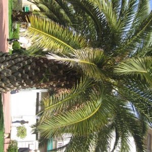 raduno di primavera 2013 secondo album