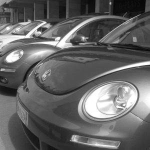 raduno di primavera 2013 terzo album