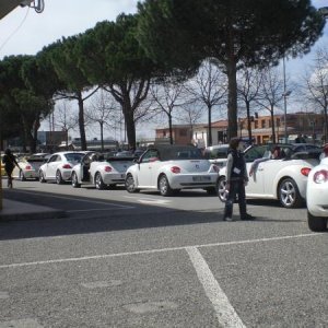 raduno di primavera 2013 quarto album