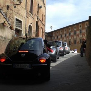 raduno di primavera 2013 quarto album