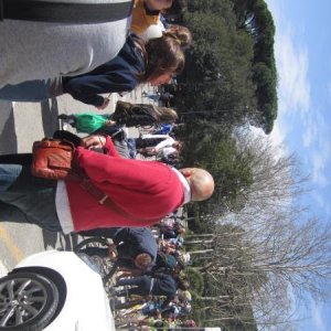 raduno di primavera 2013 quarto album